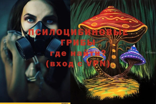 крисы Арсеньев