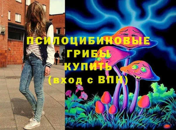 крисы Арсеньев