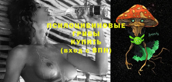 крисы Арсеньев