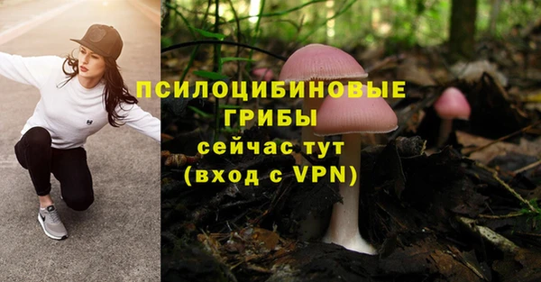 кокаин перу Аркадак