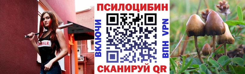 Псилоцибиновые грибы Cubensis  Тарко-Сале 